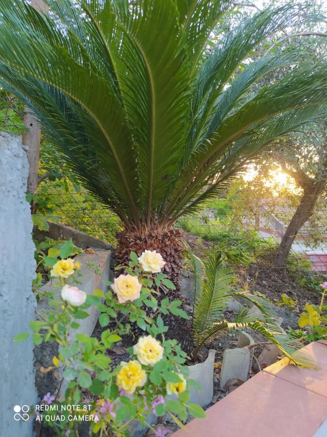Racalmuto B&B Troisi المظهر الخارجي الصورة