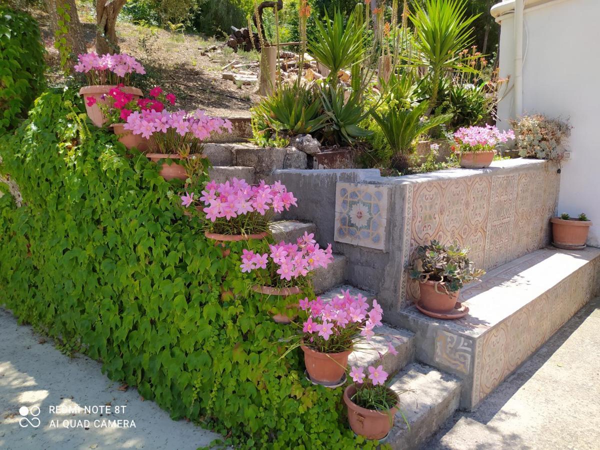 Racalmuto B&B Troisi المظهر الخارجي الصورة