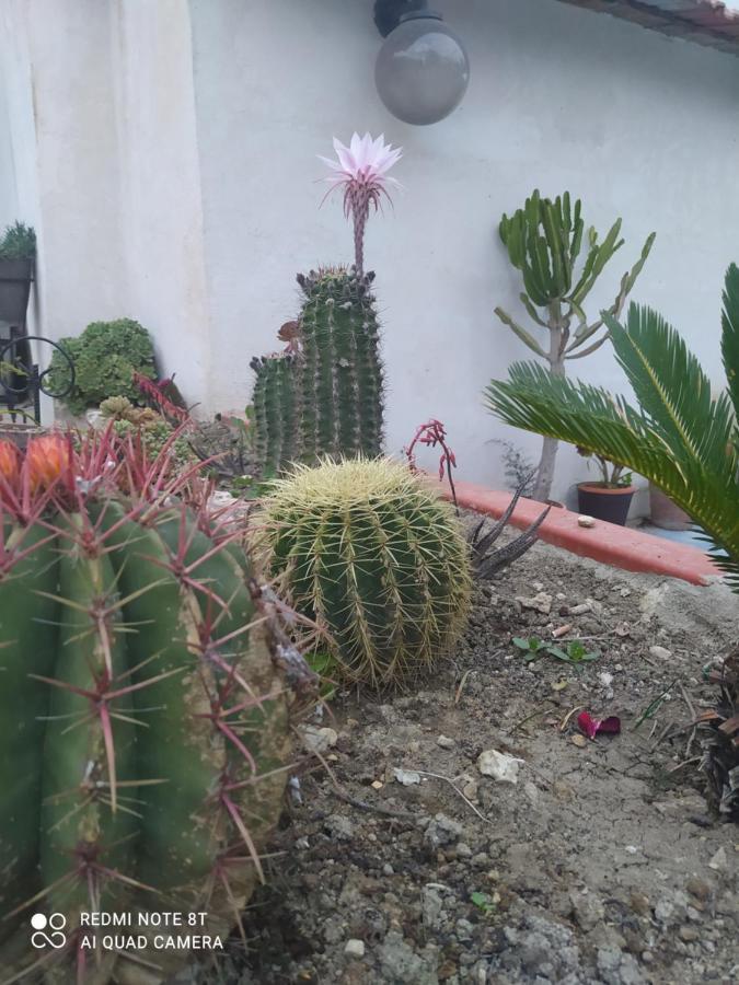 Racalmuto B&B Troisi المظهر الخارجي الصورة