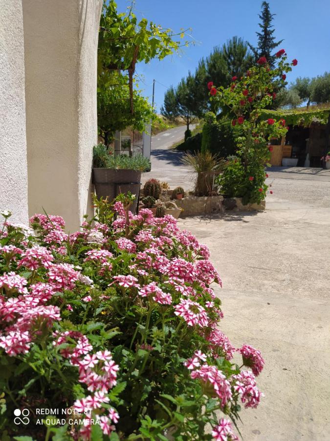 Racalmuto B&B Troisi المظهر الخارجي الصورة