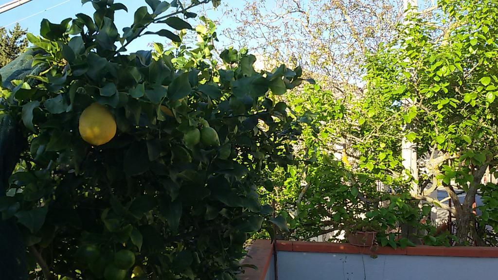 Racalmuto B&B Troisi المظهر الخارجي الصورة